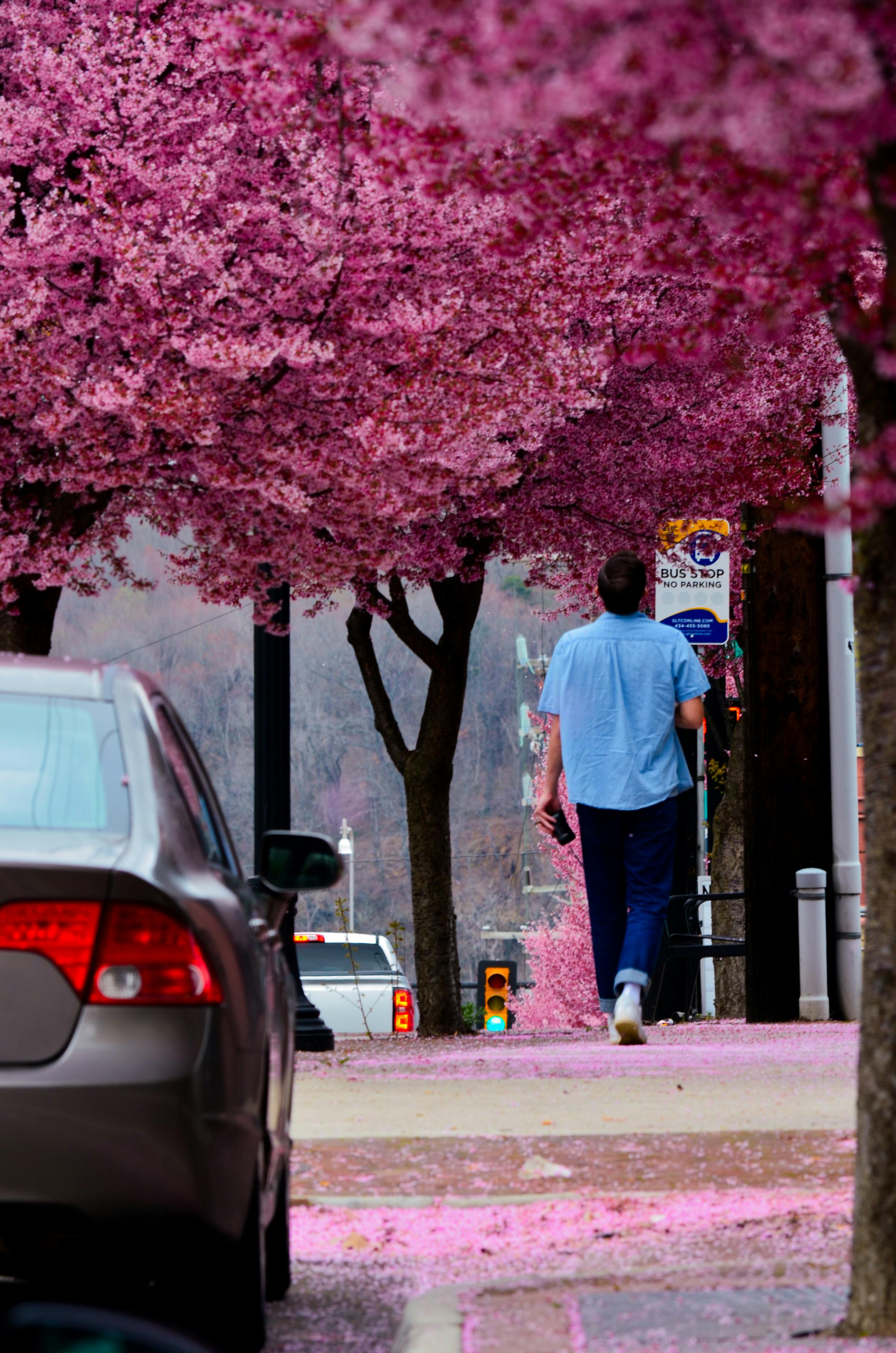 Falls Church Property Management: Creating Stress-Free Landlord Experiences